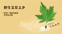 艾草越嫩越好，還是越久越好？悄悄告訴你：艾草這樣用，效果最好！