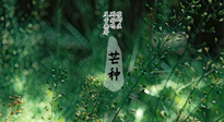 【二十四節(jié)氣灸】芒種節(jié)氣，培土補脾、養(yǎng)陰生津！艾灸這些穴位事半功倍！