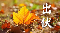 【三伏養(yǎng)生】出伏后做好養(yǎng)生很關(guān)鍵！一行要注意！