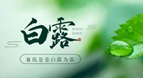 【二十四節(jié)氣灸】白露涼爽，養(yǎng)心肝脾胃、滋陰潤肺是關(guān)鍵！