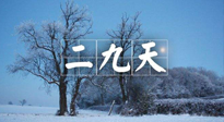 【三九養(yǎng)生】冬二九，扶陽補腎氣，讓你陽氣充足一整年！