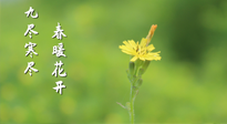 【九九養(yǎng)生】三月四日“九九日”，寒冬已過。春天養(yǎng)好身，全年不怕病！