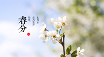 【二十四節(jié)氣灸】春分，平分了大地晝夜；艾灸，平衡了身體陰陽！