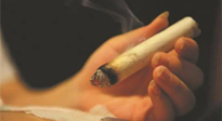 【艾灸知識(shí)】春暖花開，衣衫漸薄，再不減肥，身上的肉肉可藏不住了！