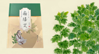 【行業(yè)資訊】國內(nèi)首部艾草專著《南陽艾》，在南陽新書首發(fā)！