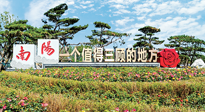 【行業(yè)資訊】南陽一個(gè)值得三顧的地方！“丹江水”“仙草艾”成為 “南陽禮物”新爆款！