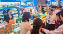 【行業(yè)資訊】南陽攜超千款名優(yōu)產(chǎn)品在廣州開展產(chǎn)銷對接，仙草艾首次亮相大灣區(qū)！