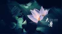 【二十四節(jié)氣灸】趁大暑好好艾灸，才不辜負三伏天的驕陽！