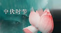 【艾灸三伏天】中伏：三伏灸的關(guān)鍵轉(zhuǎn)折點！“灸”除病根的大好時機！