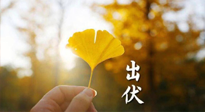 【艾灸三伏天】出伏啦！三防三宜兩穴位，防止身體“秋后算賬”！