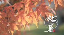 【二十四節(jié)氣灸】處暑，冬病夏治倒計(jì)時(shí)！秋涼真的要來了！