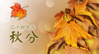 【二十四節(jié)氣灸】秋分節(jié)氣，平衡陰陽，巧用艾灸，潤燥養(yǎng)肺是關鍵！