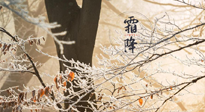 【二十四節(jié)氣灸】霜降節(jié)氣：艾灸四穴，護(hù)您冬天安然無(wú)恙！