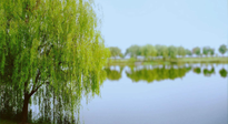 【艾灸知識】春三月，必艾灸穴位：疏肝理氣，養(yǎng)血調(diào)神！