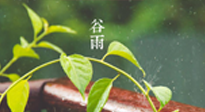 【二十四節(jié)氣灸】谷雨節(jié)氣脾土濕，艾灸降濕濁，脾旺不受邪！