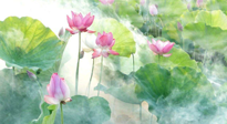 【養(yǎng)生知識】花開半夏，夏至養(yǎng)生，這些知識一定要牢記！