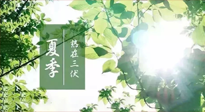 【艾灸三伏天】今年三伏不一般，仙草小助理建議大家早作準備哦！