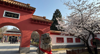 【行業(yè)資訊】新華財經(jīng)：守正創(chuàng)新，中醫(yī)藥品牌化發(fā)展“更上一層樓”！