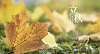 【節(jié)氣養(yǎng)生】甲辰立秋，“2做”、“2不做”，護(hù)好我們身體的正氣，預(yù)防外邪的侵襲！
