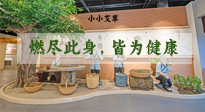 【艾草知識】小小艾草，渾身是寶，一生燃盡此身，皆為健康！