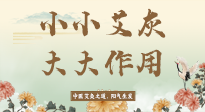 【艾草知識】艾灰真是個巨好用的東西，?它的神奇功效，你知道多少？