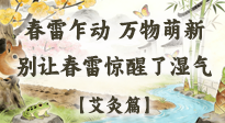 【二十四節(jié)氣灸】春雷驚醒濕氣！驚蟄艾灸3穴，疏肝祛濕養(yǎng)元氣！